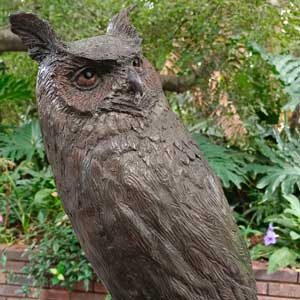 Spotted Eagle Owl
