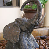 Elephant Fountain