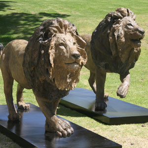 Mpho and Zero – Webersburg Wine Estate, Stellenbosch