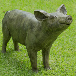 Pig